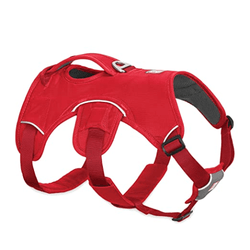 Ruffwear Webmaster Harness for Dogs (Red Currant)