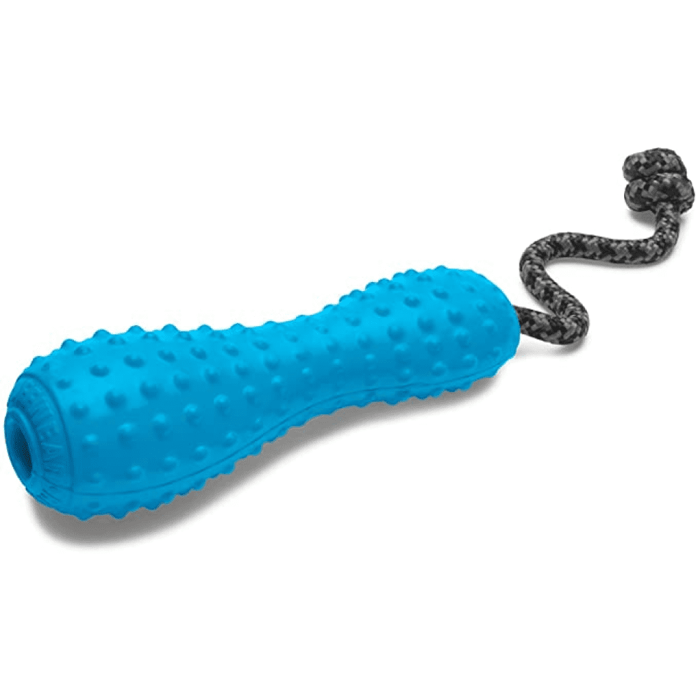 Buy Ruffwear Gourdo Chew Toy for Dogs (Metolius Blue) Online | Supertails