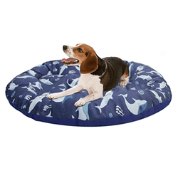 Hiputee Soft Velvet Cushion Cozy Reversible Washable Bed for Dogs and Cats (Aqua Blue Fish)