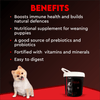 Drools Focus Pup Booster Puppy Weaning Diet for All Breeds (300g) Dogs- Dry Food Drools Focus
