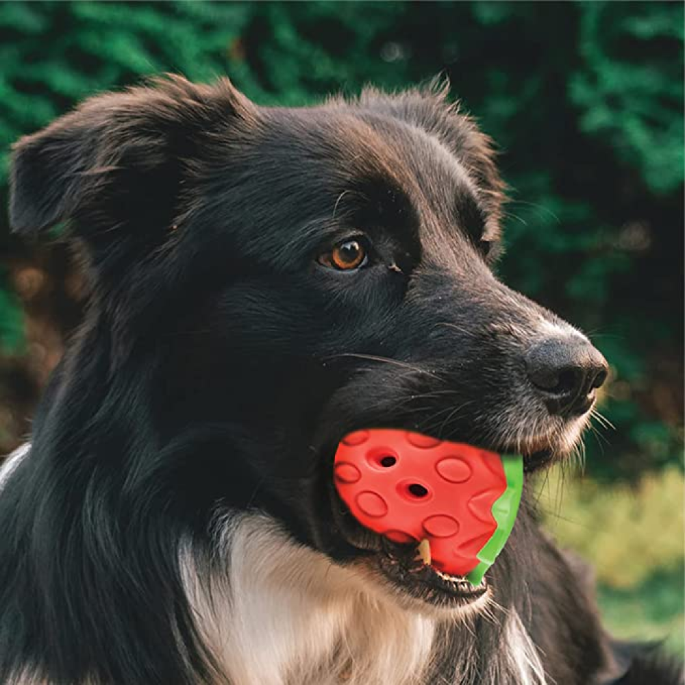 Goofy Tails Fruity Bites Strawberry shaped Natural Rubber Chew Toy for Dogs