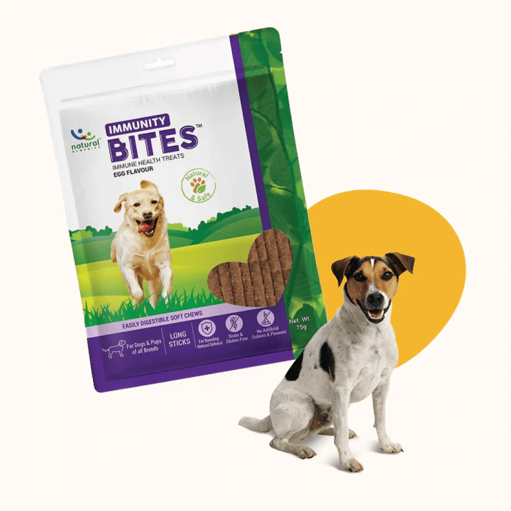 Buy Natural Remedies Immunities Bites for Dogs Online Supertails
