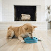 Outward Hound Fun/Slow Feeder for Dogs (Teal) Dogs-Bowls & Feeders Outward Hound