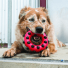 Kong Dotz Circle Toy for Dogs | For Aggressive Chewers Dogs-Toys Kong