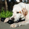 Kong Extreme Goodie Bone Toy for Dogs (Black) | For Aggressive Chewers Dogs-Toys Kong