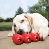 Kong Goodie Ribbon Toy for Dogs Dogs-Toys Kong