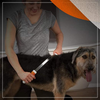 Wahl Double Sided De Shedding Blade for Dogs (27cm) Dogs-Grooming Supplies Wahl