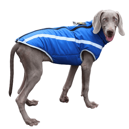 Wind 2025 protector jacket