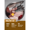 Orijen Puppy Dry Food (Get Free Skatrs Toy) Dogs- Dry Food Orijen