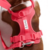 Furry & Co Bold Harness for Dogs (Coral Red) Dogs-Collar, Leashes, harnesses Furry & Co