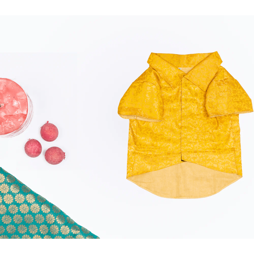 Pawgypets Occasion Wear Shirt for Dogs and Cats (Yellow)