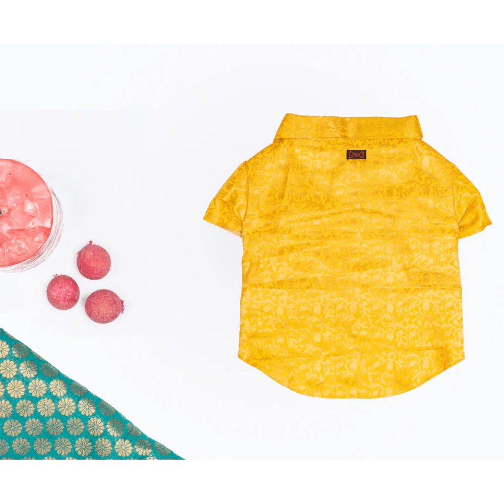Pawgypets Occasion Wear Shirt for Dogs and Cats (Yellow)