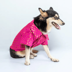 Pawgypets Occasion Wear Shirt for Dogs and Cats (Pink)