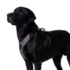 Truelove Harness with Reflective Fabric for Dogs (Black) Dogs-Collar, Leashes, harnesses True Love