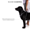 Truelove Harness with Reflective Fabric for Dogs (Black) Dogs-Collar, Leashes, harnesses True Love