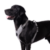 Truelove Harness with Reflective Fabric for Dogs (Gray) Dogs-Collar, Leashes, harnesses True Love