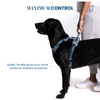 Truelove Floral No Pull 3M Reflective Harness for Dogs (Saxony Blue) Dogs-Collar, Leashes, harnesses True Love