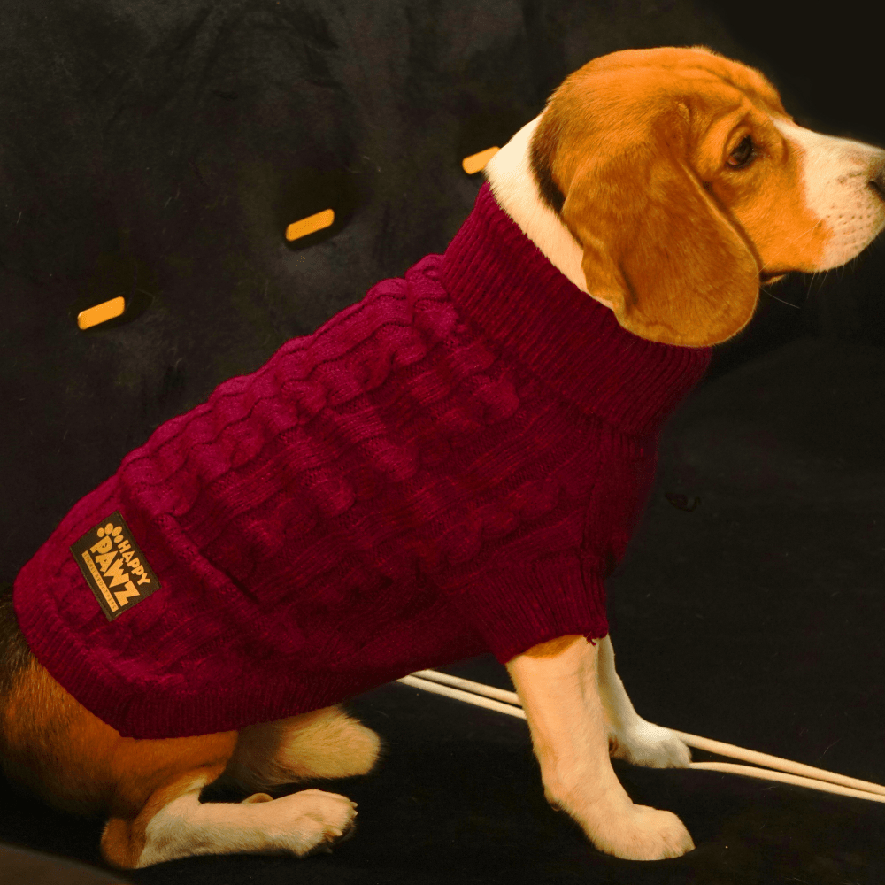 Pawz sweaters best sale