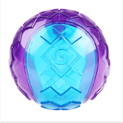 GiGwi Ball Squeaker Toy for Dogs (Blue/Purple)