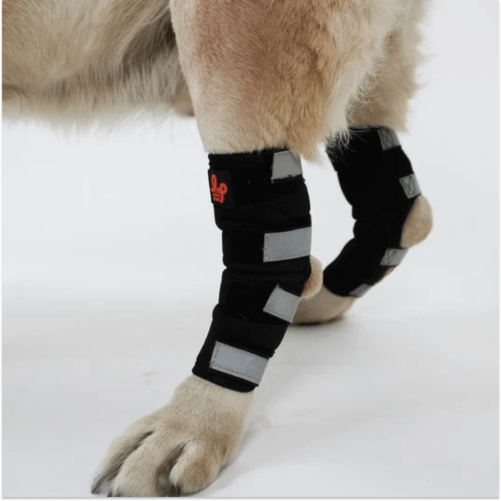 Compression socks for dogs with arthritis deals