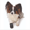 Trixie Walker Care Comfort Protective Boots for Dogs Dogs-Clothing & Accessories Trixie