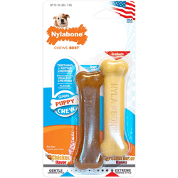 Nylabone Puppy Teething Peanut Butter and Chicken Flavoured Chew and Power Chew Bone Toy for Dog (Brown/Beige)