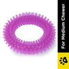 Basil Teething Ring Chew Toy for Dogs | For Medium Chewers Dogs-Toys Basil