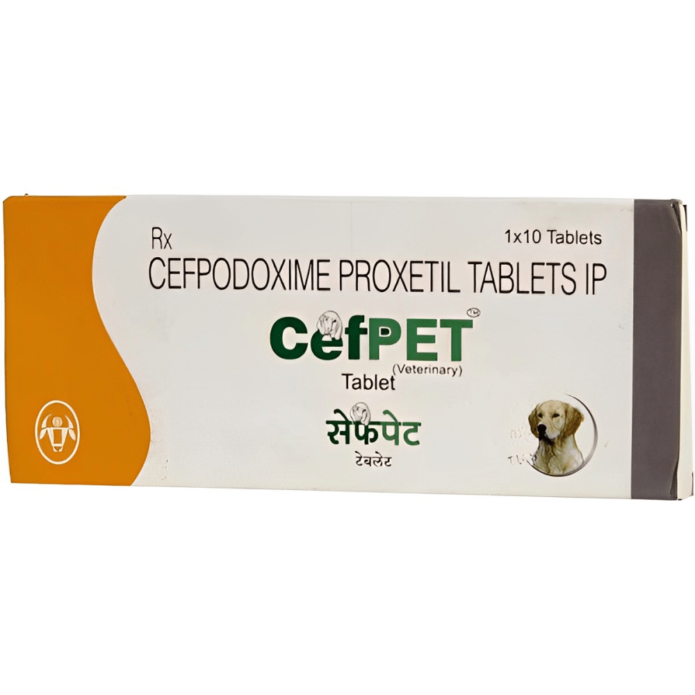 Intas Cefpet 100mg (Cefpodoxime Proxetil) Tablet for Dogs & Cats (pack of 10 tablets)