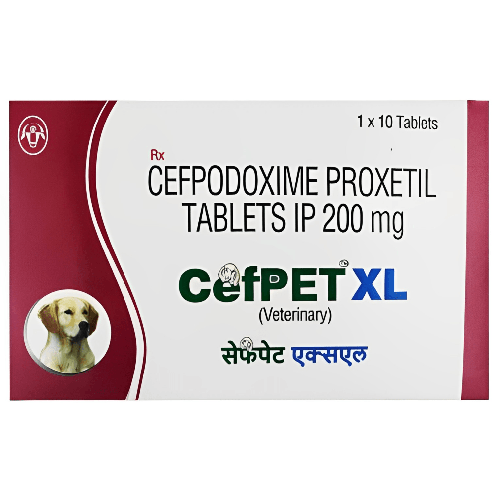 Intas Cefpet XL 200mg (Cefpodoxime Proxetil) Tablet (pack of 10 tablets)