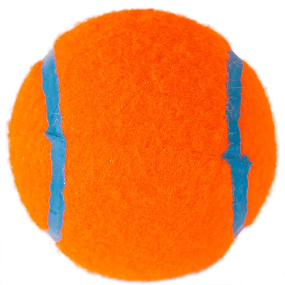 Chuckit! Tennis Ball for Dogs (Blue/Orange)