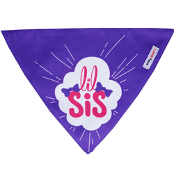 Lana Paws Lil' Sis Adjustable Bandana/Scarf for Dogs (Purple)