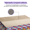 Pawsindia 5 in 1 Replacebale Box Scratcher for Cats (Brown) Cats-Toys Pawsindia
