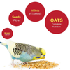 Vitapol Economic Food for Budgies Birds Vitapol