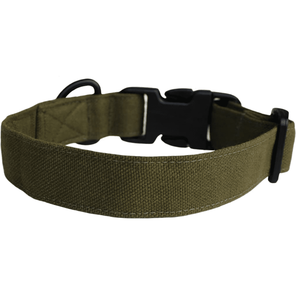 Canvas dog collar best sale