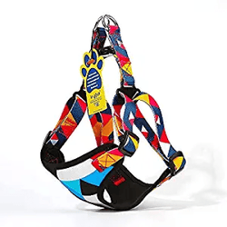 A Plus A Pets Rainbow Vest Style Step in Harness for Dogs
