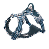 Truelove Floral No Pull 3M Reflective Harness for Dogs (Saxony Blue) Dogs-Collar, Leashes, harnesses True Love