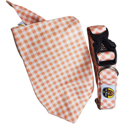 Pet Feast Checkered Collar And Bandana Sets for Dogs (Pink)
