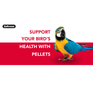 ZuPreem Fruit Blend Bird Food for Large Birds (Limited Shelf Life) Birds ZuPreem