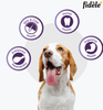 Fidele Plus Adult Small & Medium Dog Dry Food Dogs- Dry Food Fidele