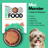 Doggos Mini Monster Chicken and Pumpkin Fresh Small Breeds Dog Wet Food Dogs-Wet Food Doggos