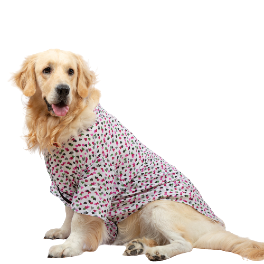Buy Up4pets Dreamy Hearts Cotton Shirts for Dogs Pink Online