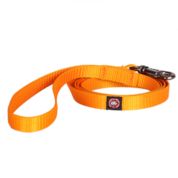 Pets Like Nylon Training Leash with Metal Clip for Dogs (Orange)