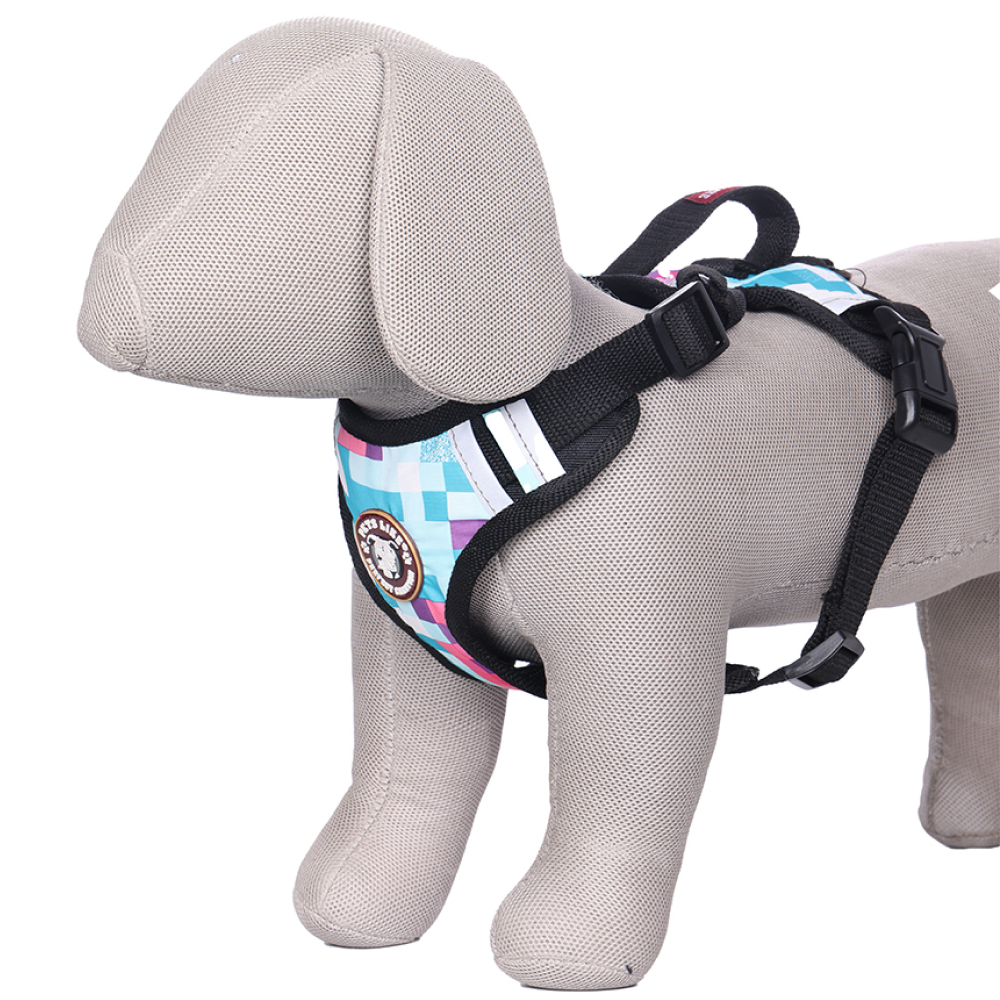 Double harness for dogs cheap