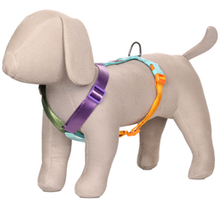 Pets Like Nylon Full Harness for Dogs (Rainbow Aqua Blue)