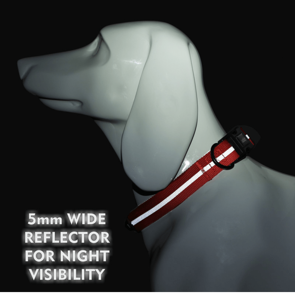 Glucklich Everyday Reflective Collar for Dogs (Cherry Pink) Dogs-Collar, Leashes, harnesses Glucklich