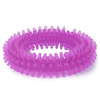 Basil Teething Ring Chew Toy for Dogs | For Medium Chewers Dogs-Toys Basil