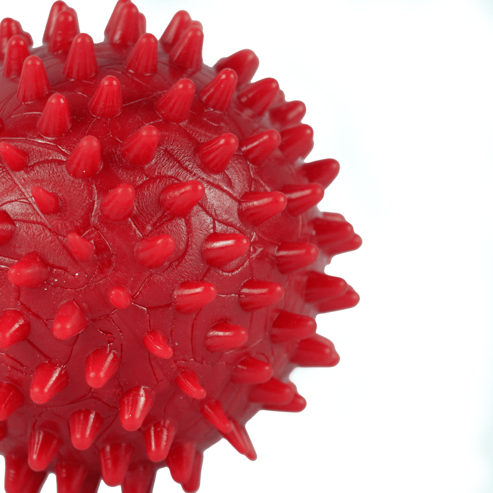 Drools Non Toxic Rubber Stud Spike Hard Ball Chew Teething Toy for Puppies and Dogs | For Aggressive Chewers Dogs-Toys Drools