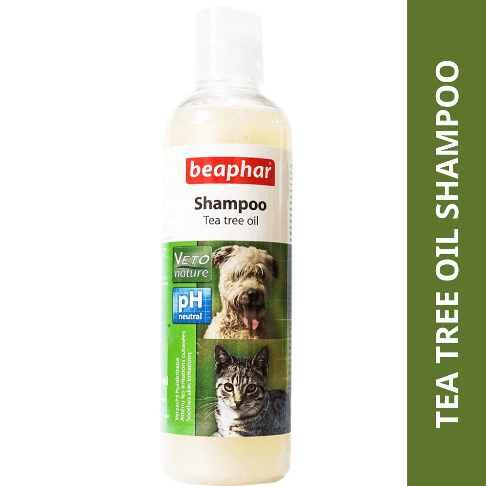 Can you use tea clearance tree shampoo on a dog