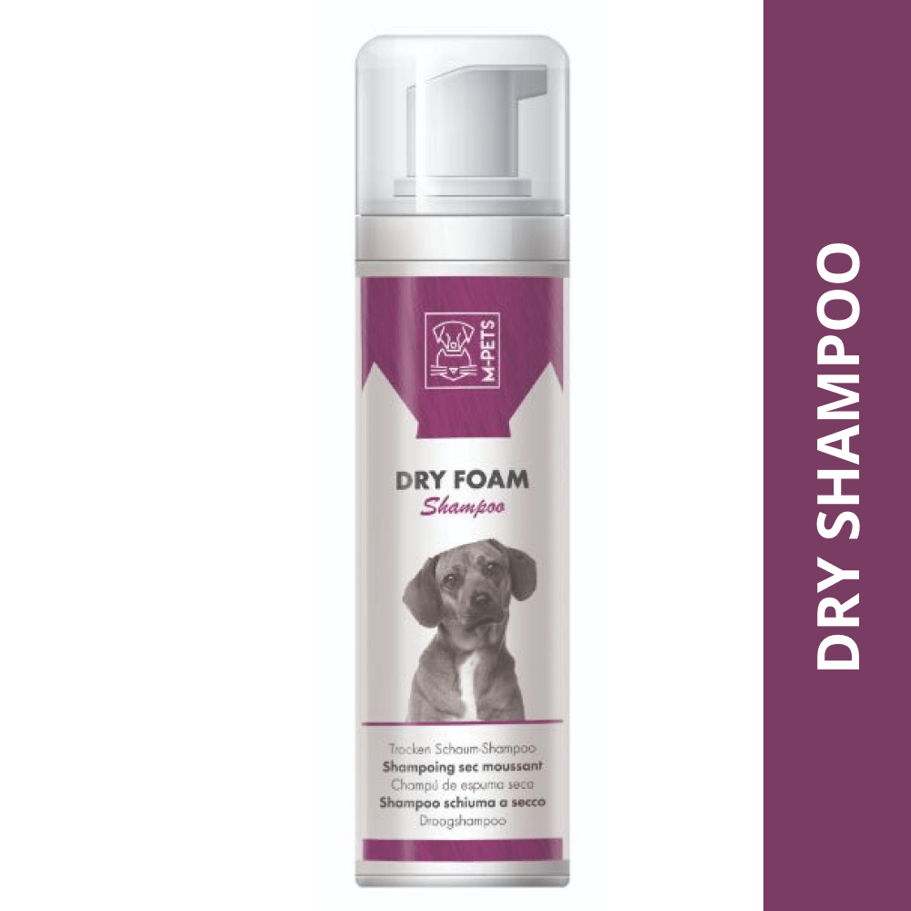 Foam shampoo top for dogs