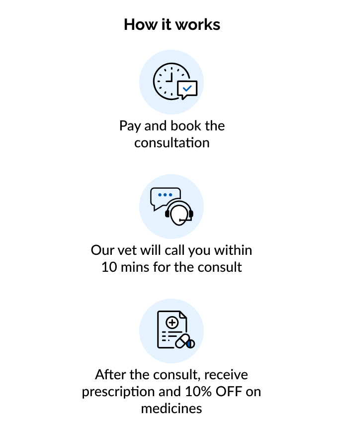 Instant Consultation (10 AM to 8 PM)